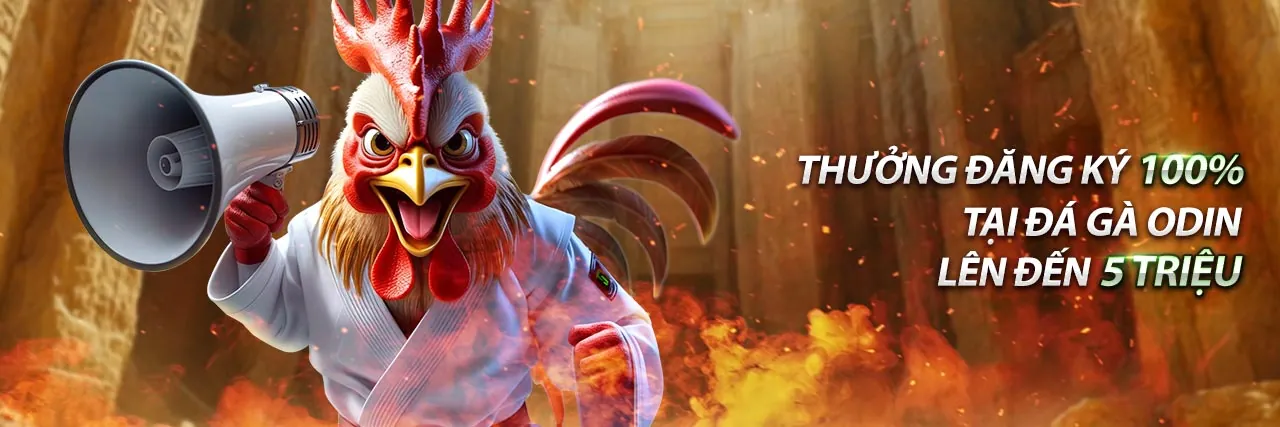 Tổng quan nền tảng hi8823.con